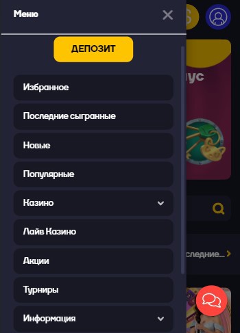 Возможности мобильной версии